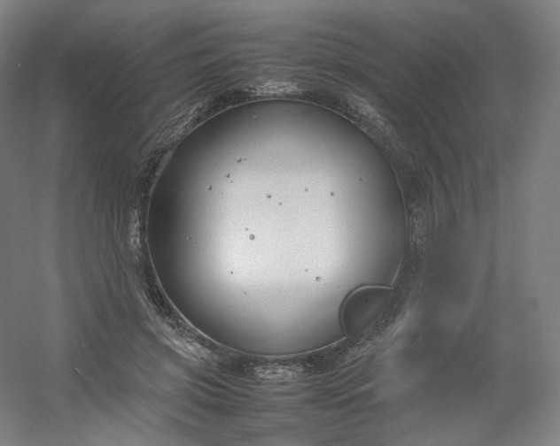 X0000054390549200508121635