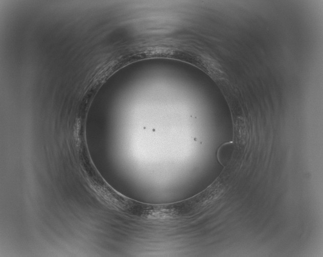 X0000054390550200508121635