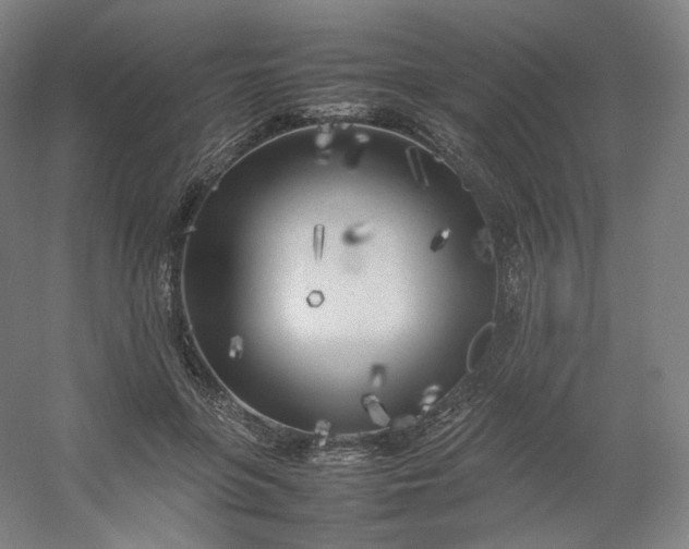 X0000054390551200508121635