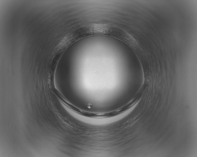 X0000054390552200508121635