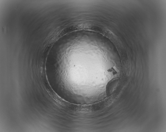 X0000054390553200508121635