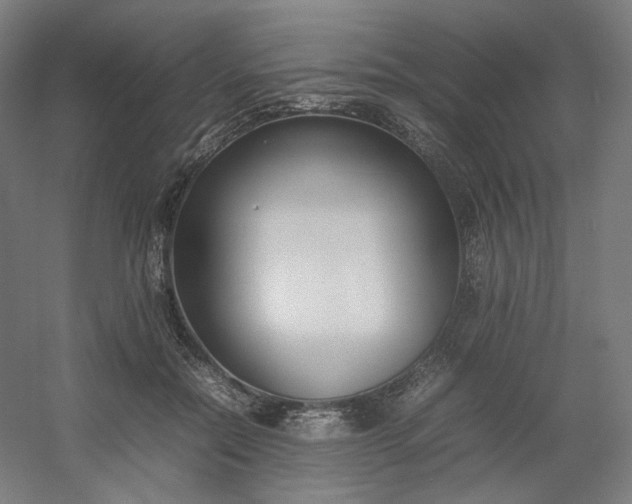 X0000054390554200508121635