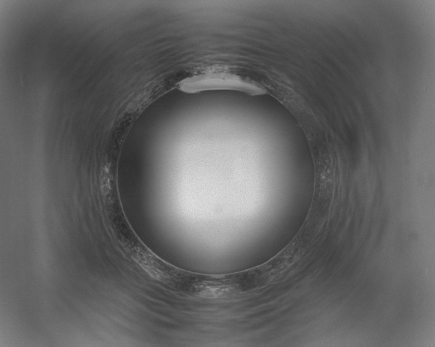 X0000054390555200508121635