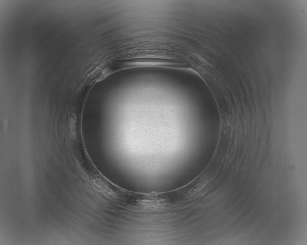 X0000054390556200508121635