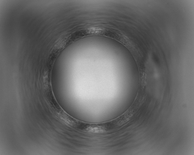 X0000054390557200508121635