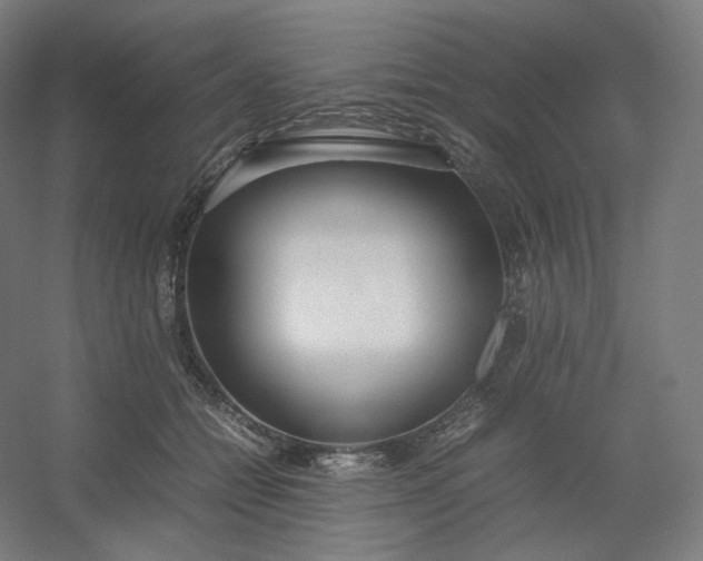 X0000054390558200508121635