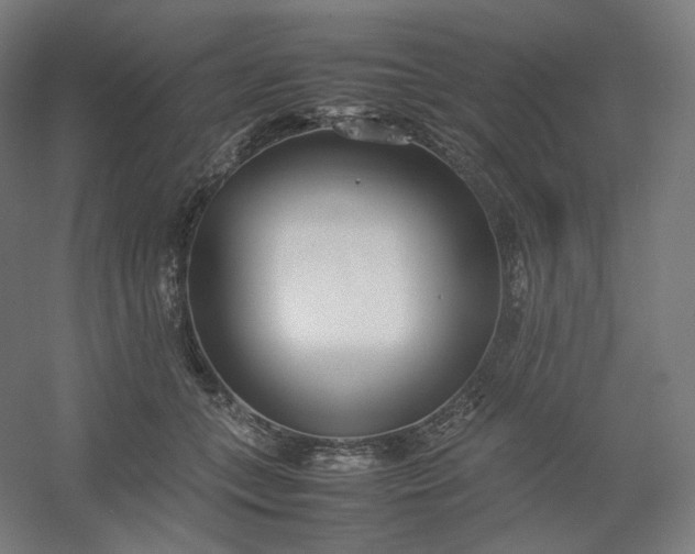 X0000054390559200508121635