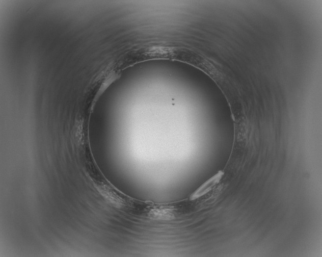 X0000054390560200508121636