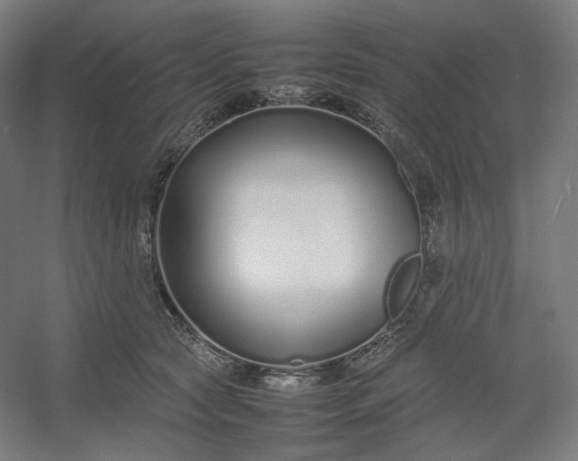 X0000054390561200508121636