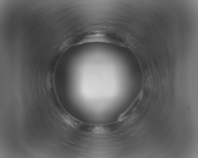 X0000054390562200508121636