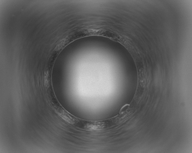 X0000054390563200508121636