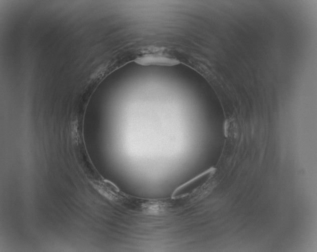 X0000054390564200508121636