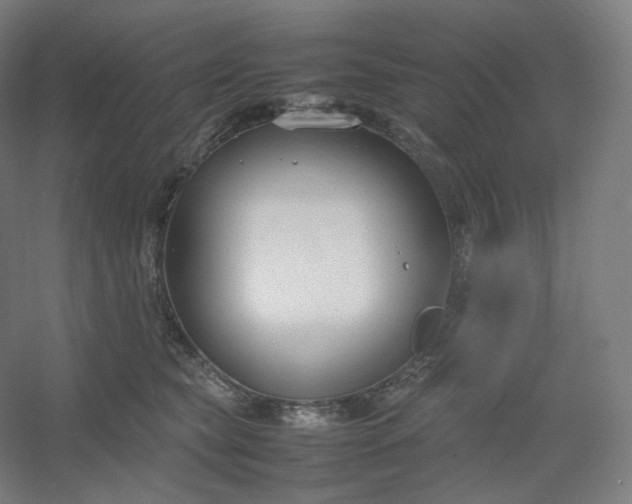 X0000054390565200508121636