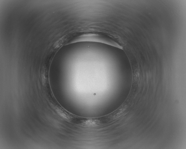 X0000054390566200508121636