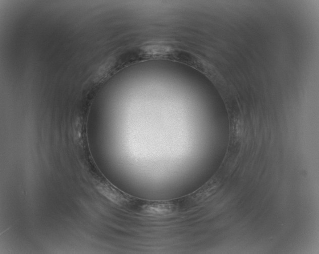 X0000054390567200508121636