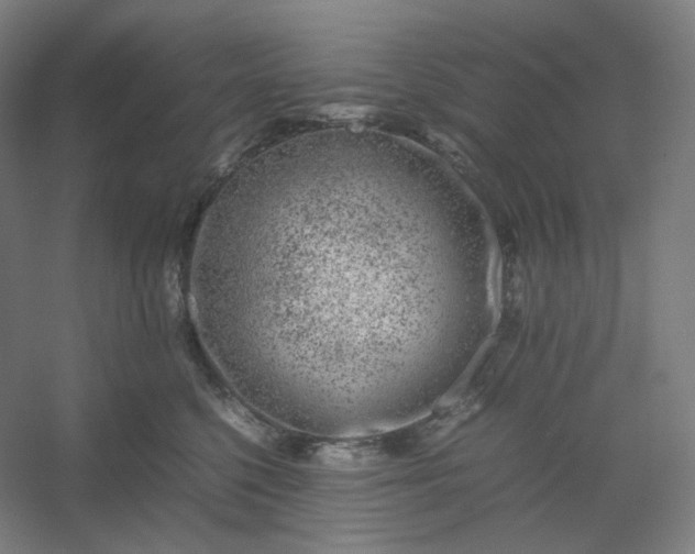 X0000054390568200508121636