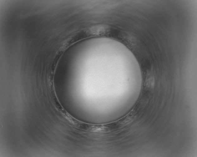 X0000054390569200508121636