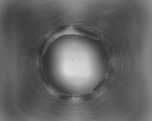 X0000054390570200508121636