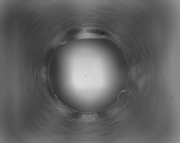 X0000054390571200508121636