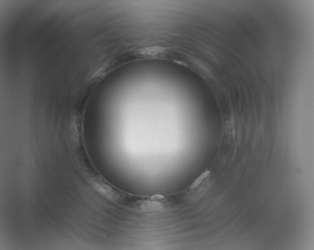 X0000054390572200508121636