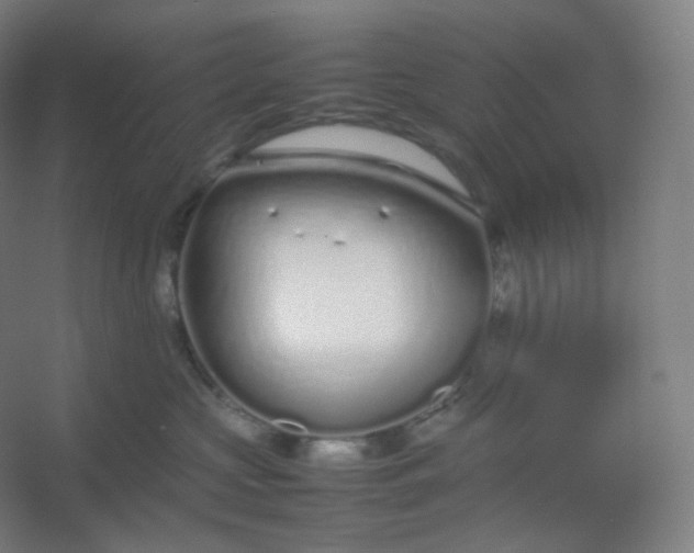 X0000054390573200508121636