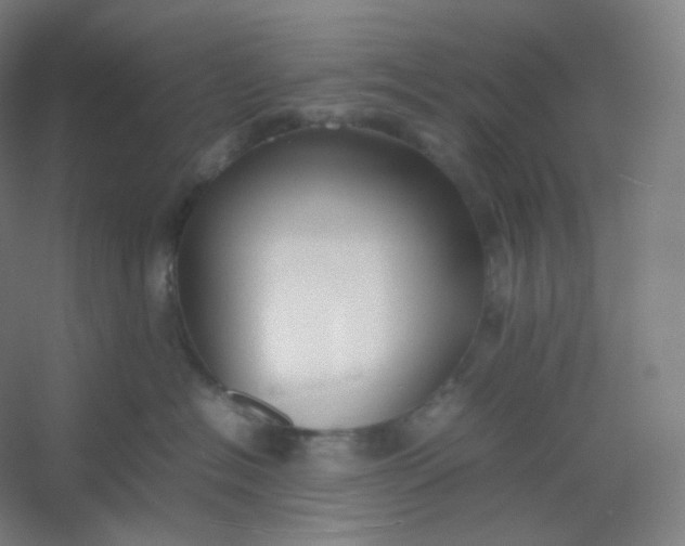 X0000054390574200508121636