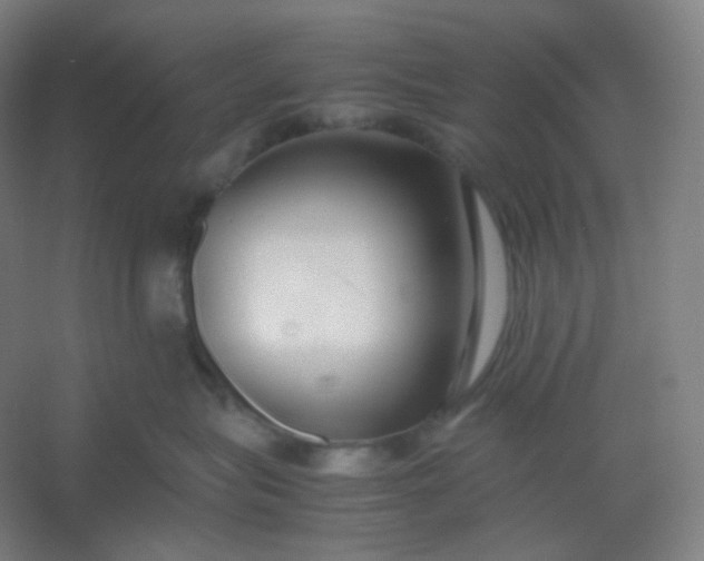 X0000054390575200508121636