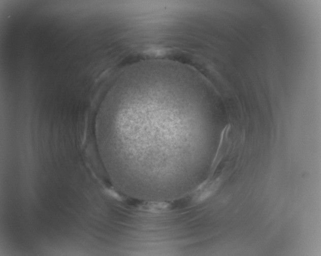 X0000054390576200508121636