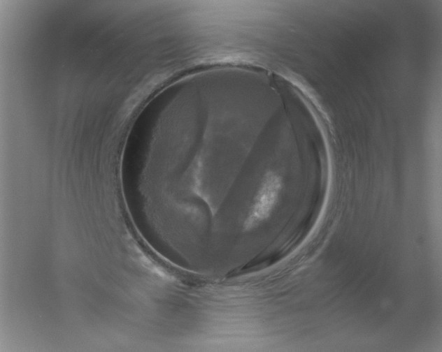 X0000054390577200508121635