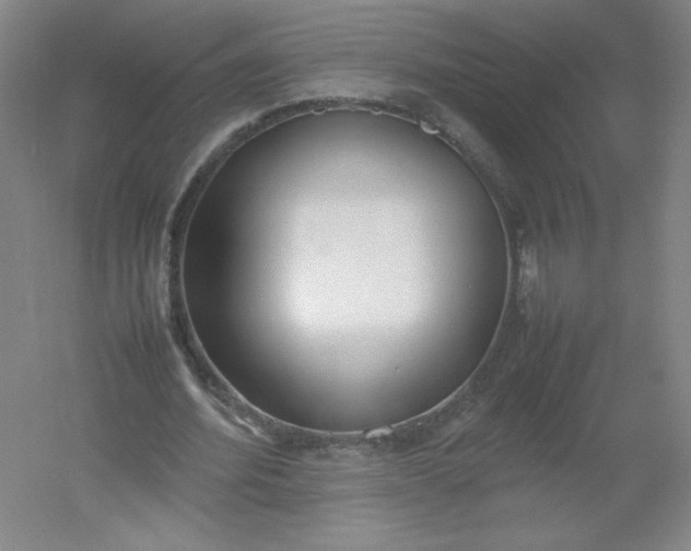 X0000054390580200508121635