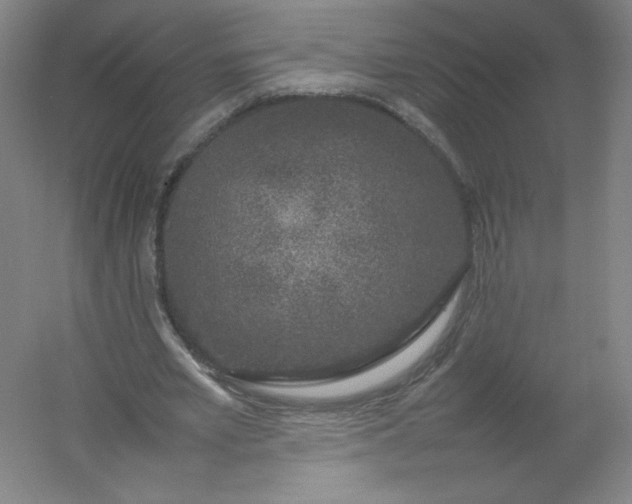 X0000054390581200508121635