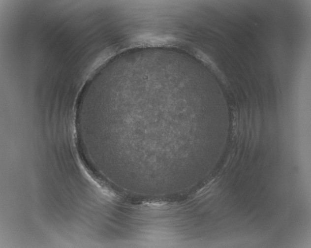 X0000054390582200508121635