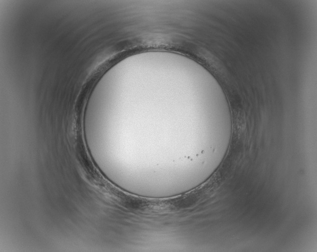 X0000054390583200508121635