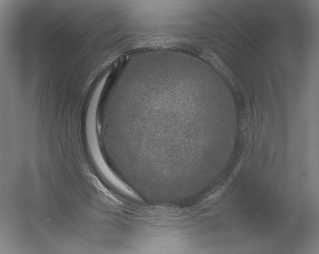 X0000054390585200508121635