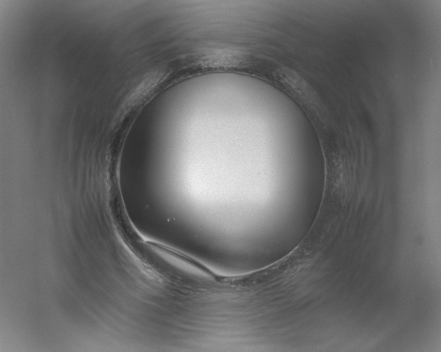 X0000054390586200508121635