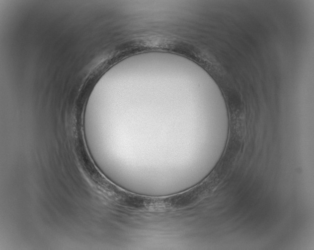 X0000054390587200508121635