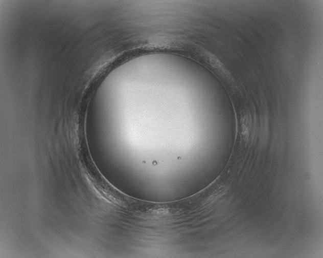 X0000054390588200508121635