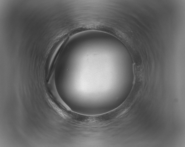 X0000054390589200508121635