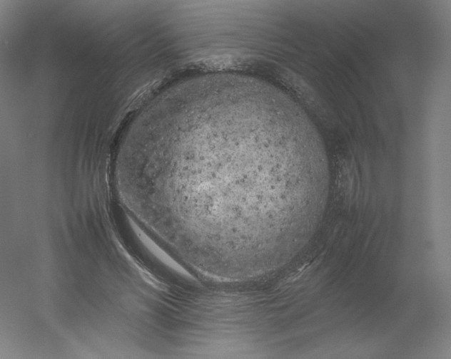 X0000054390590200508121635