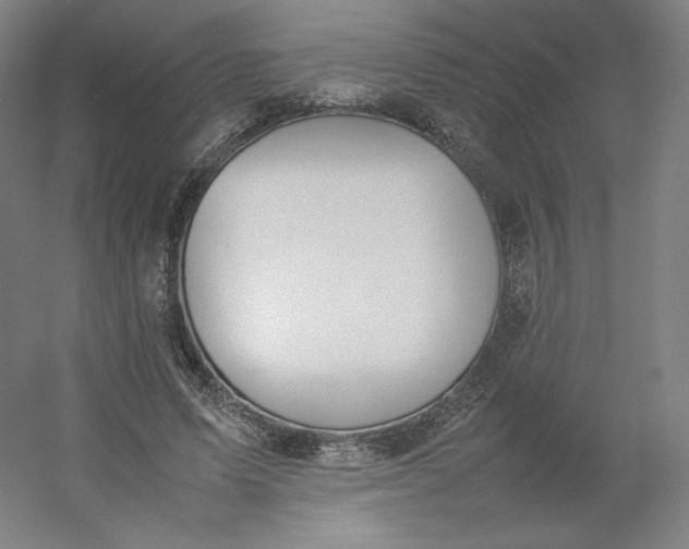 X0000054390591200508121635