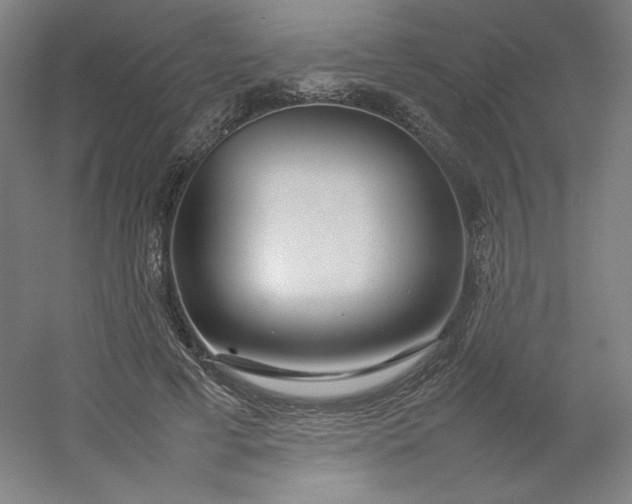 X0000054390593200508121635