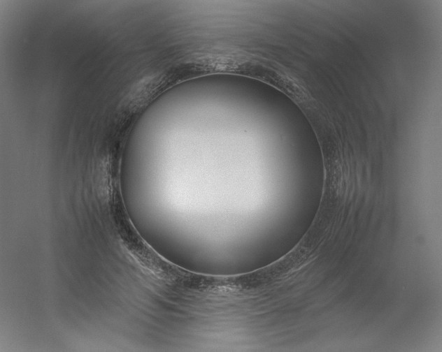 X0000054390594200508121635