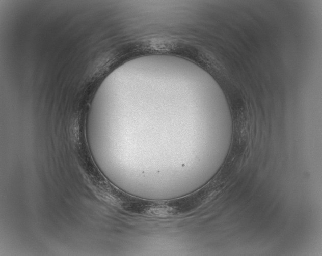 X0000054390595200508121635