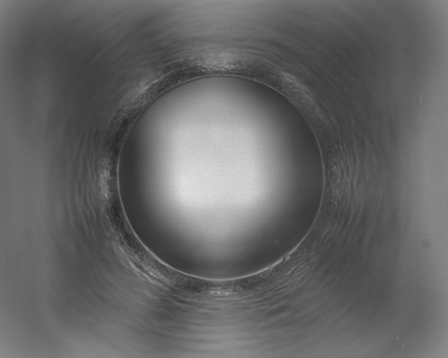 X0000054390596200508121635