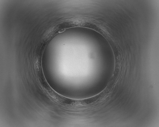 X0000054390597200508121635