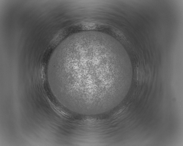 X0000054390598200508121635