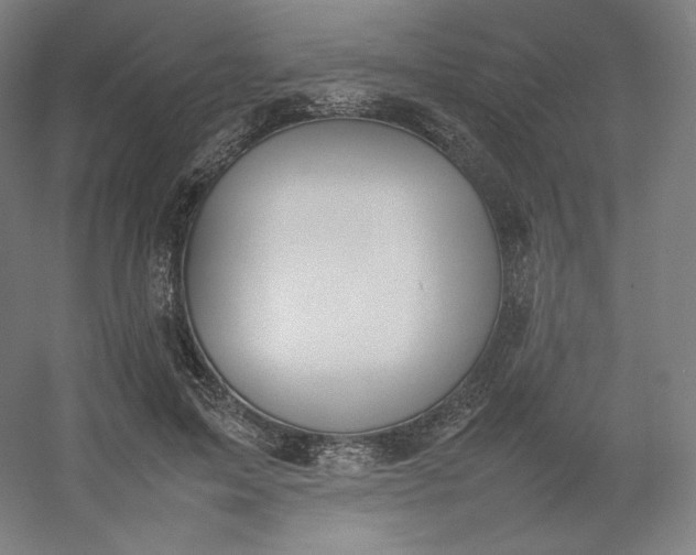 X0000054390599200508121635