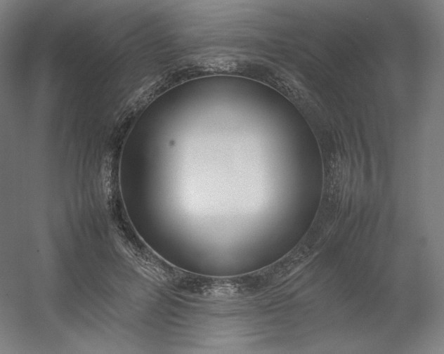 X0000054390600200508121635