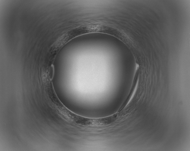 X0000054390601200508121635