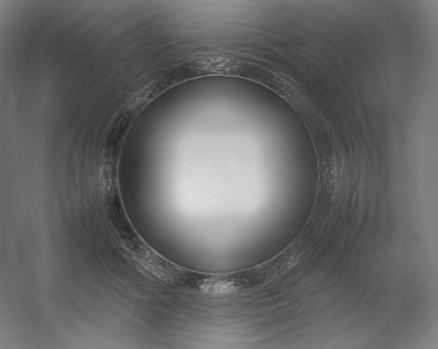 X0000054390602200508121635